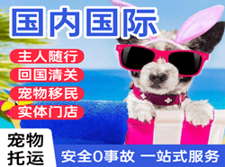 福州航空邮寄国际宠物托运 【国